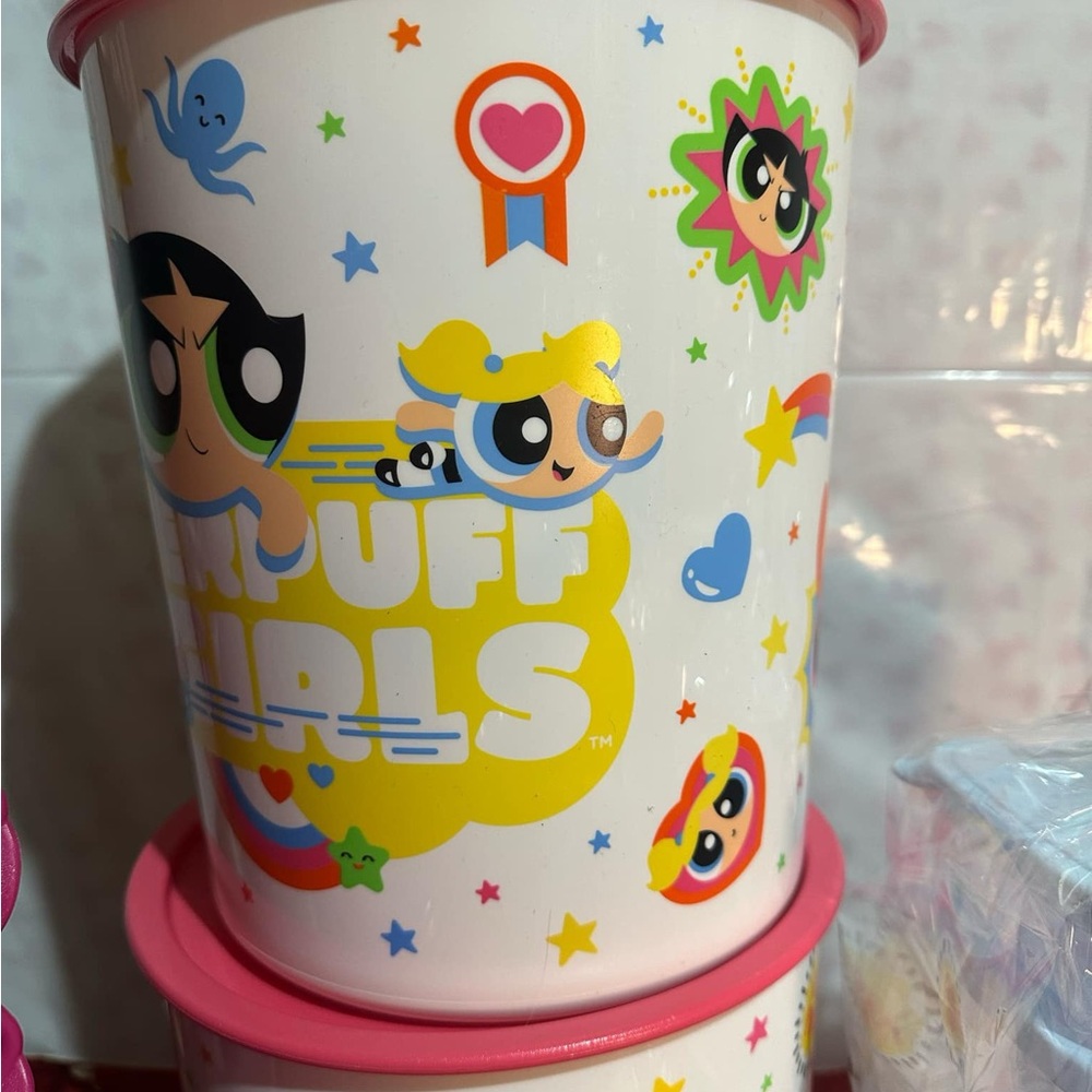 Powerpuff girls storage tupperware container.